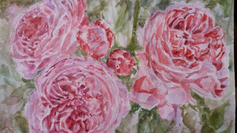  - Trandafiri si alte flori in acuarela