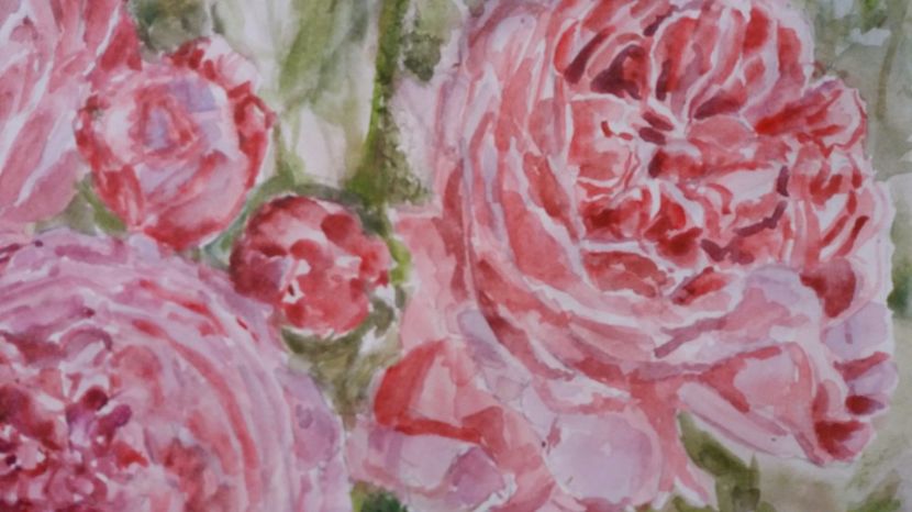  - Trandafiri si alte flori in acuarela