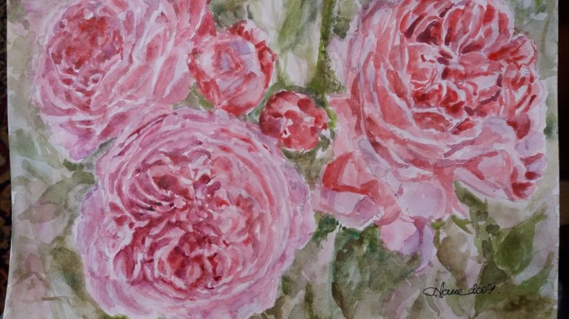  - Trandafiri si alte flori in acuarela