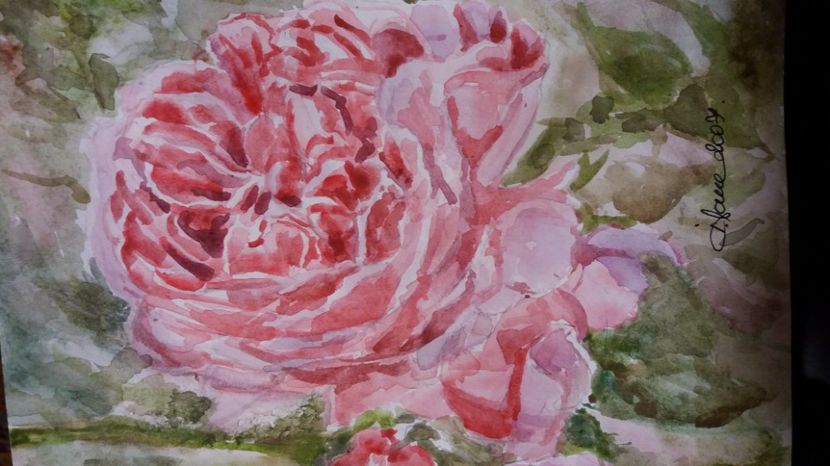  - Trandafiri si alte flori in acuarela