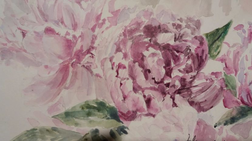  - Trandafiri si alte flori in acuarela