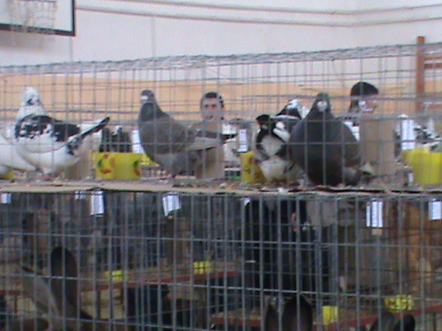 DSC00342