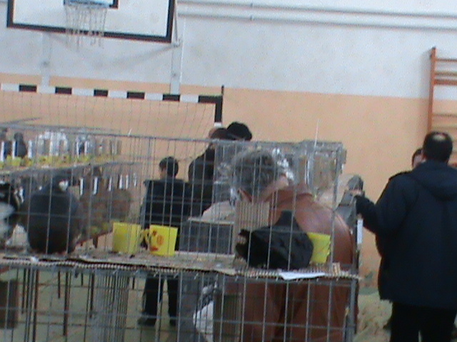 DSC00346 - poze 2010 buzau