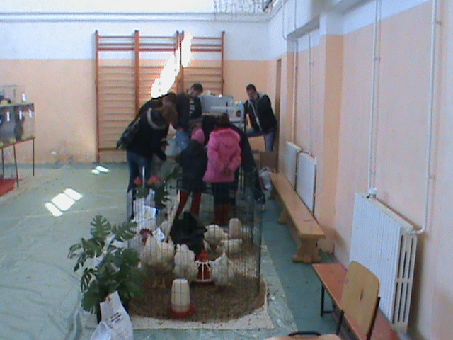 DSC00249 - poze 2010 buzau