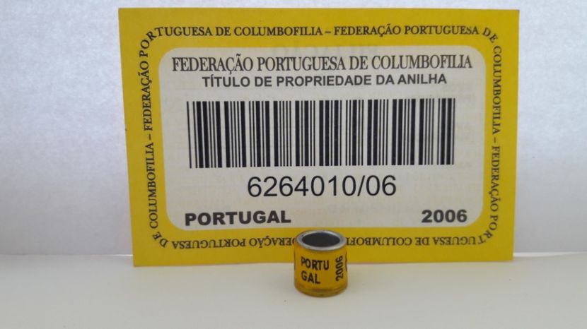 PORTUGAL 2006 - PORTUGALIA - PORT