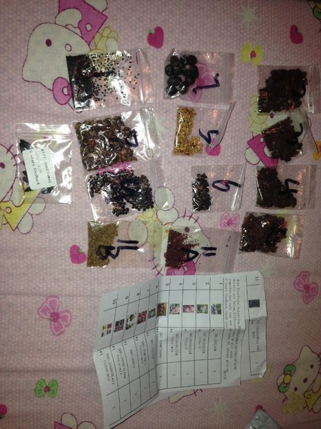  - Achizitii FLORI 2017