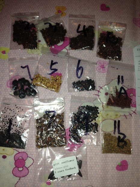  - Achizitii FLORI 2017