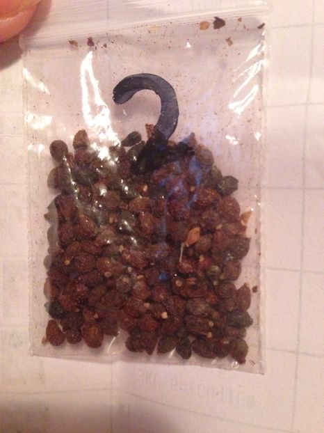 P - Achizitii FLORI 2017