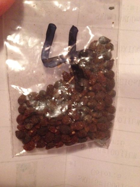  - Achizitii FLORI 2017