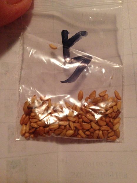  - Achizitii FLORI 2017