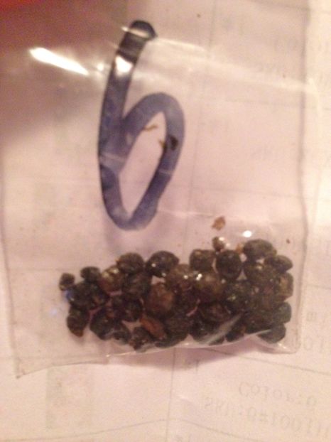  - Achizitii FLORI 2017