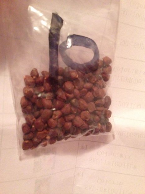  - Achizitii FLORI 2017