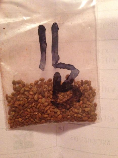  - Achizitii FLORI 2017