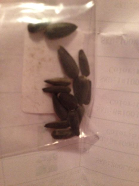  - Achizitii FLORI 2017