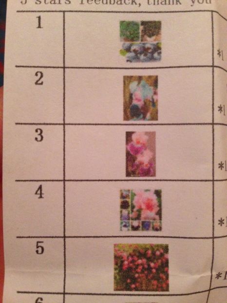  - Achizitii FLORI 2017