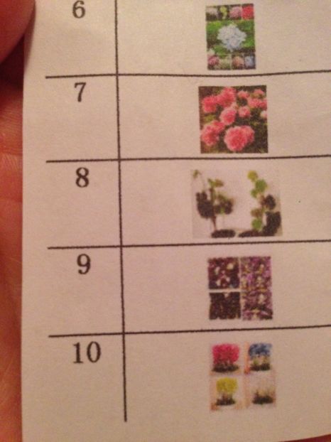  - Achizitii FLORI 2017