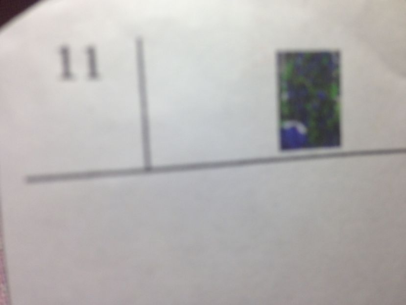  - Achizitii FLORI 2017