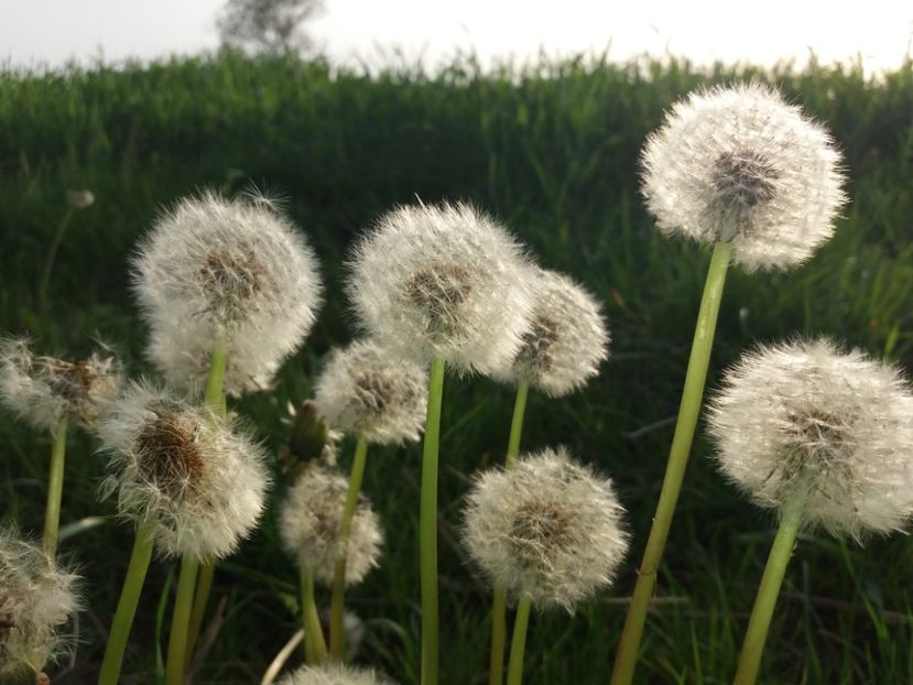  - La tara in aprilie 2017