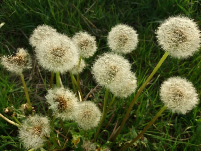  - La tara in aprilie 2017