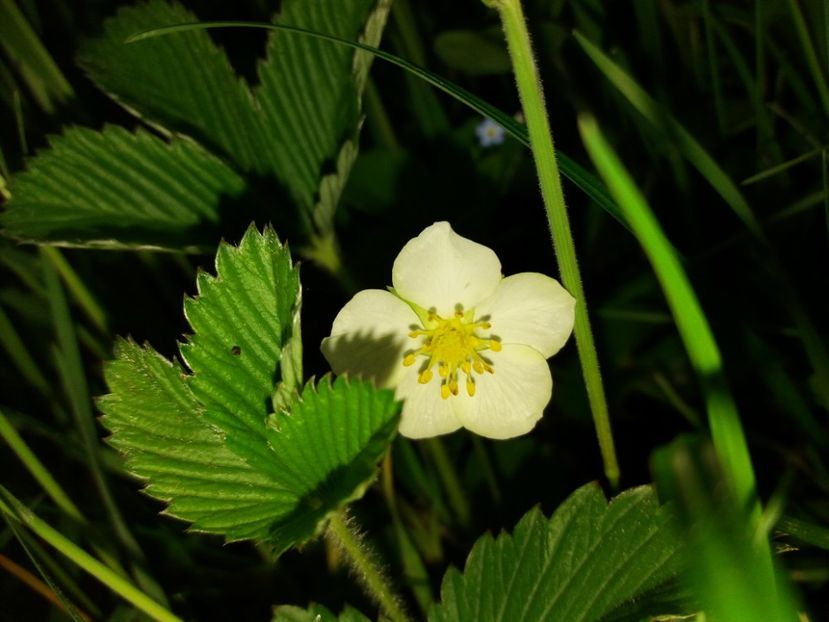  - La tara in aprilie 2017