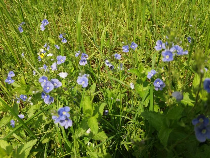  - La tara in aprilie 2017