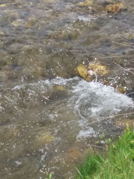  - La tara in aprilie 2017