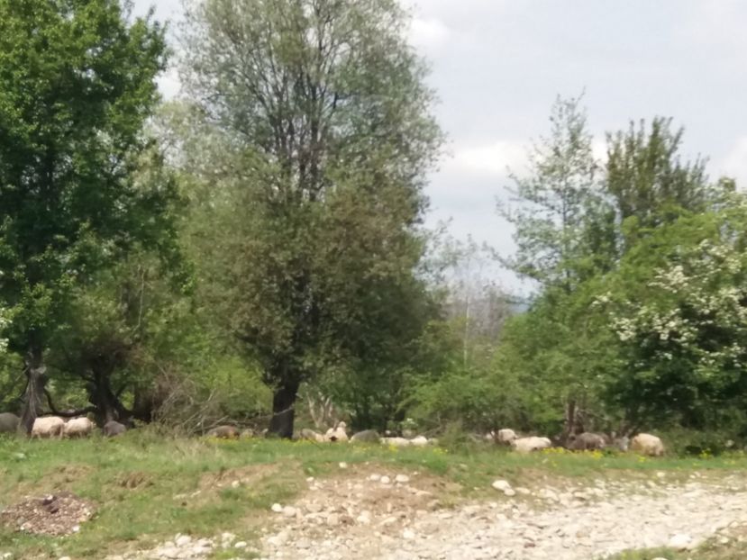  - La tara in aprilie 2017