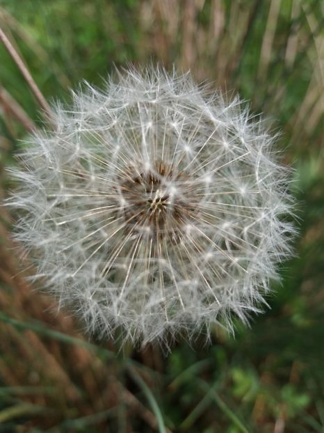  - La tara in aprilie 2017