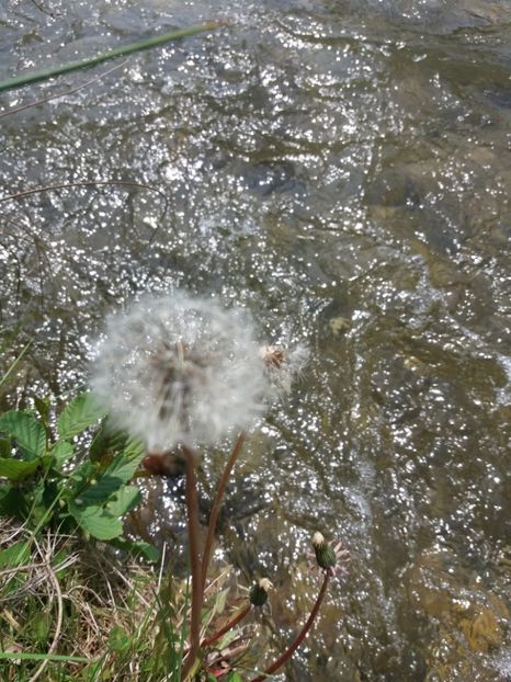  - La tara in aprilie 2017