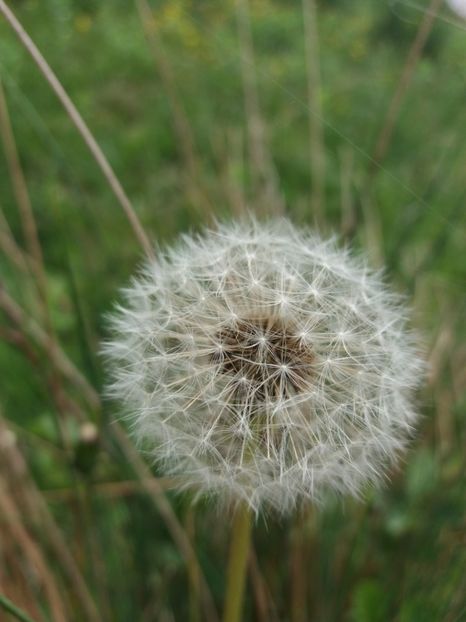  - La tara in aprilie 2017