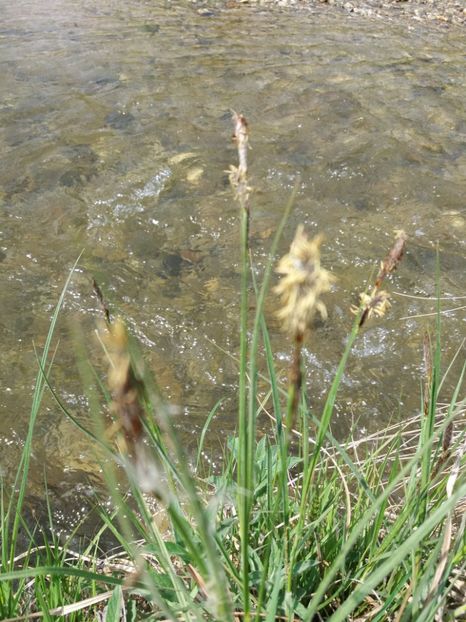  - La tara in aprilie 2017