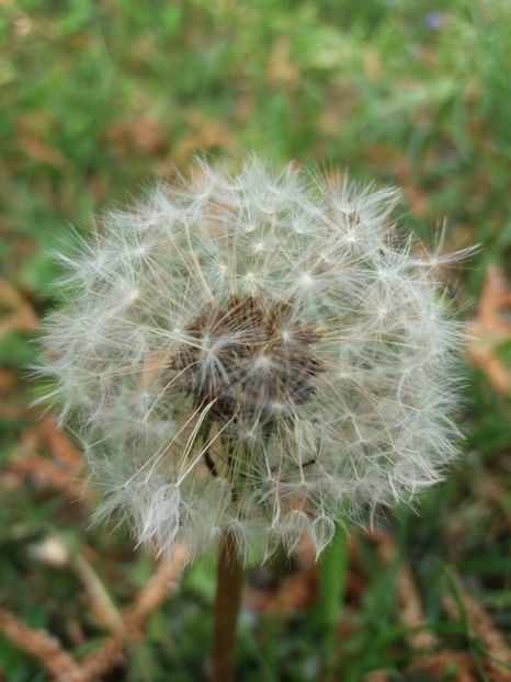  - La tara in aprilie 2017