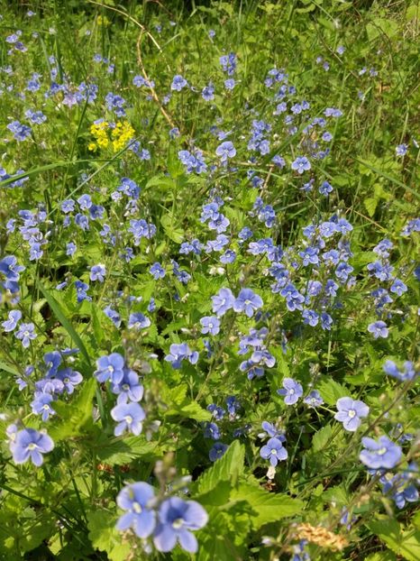  - La tara in aprilie 2017