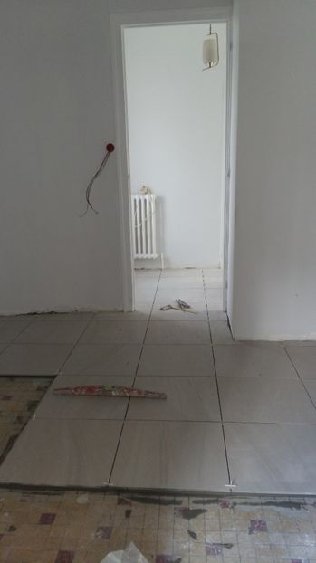 - O casa in renovare langa Lyon
