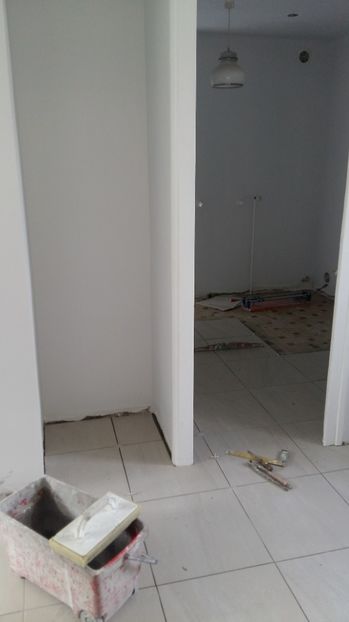  - O casa in renovare langa Lyon