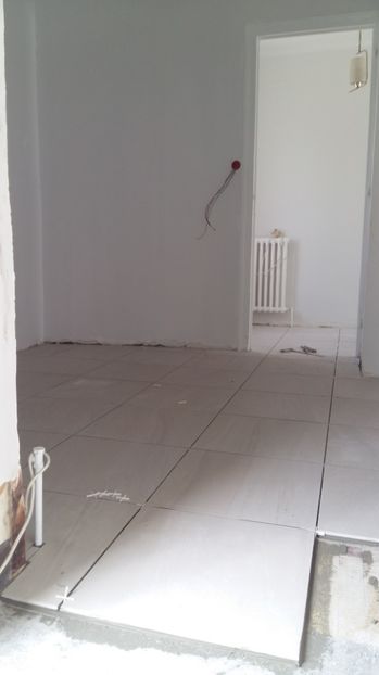 - O casa in renovare langa Lyon