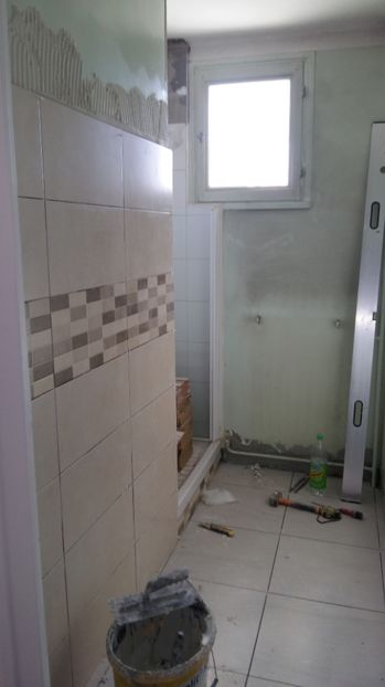  - O casa in renovare langa Lyon
