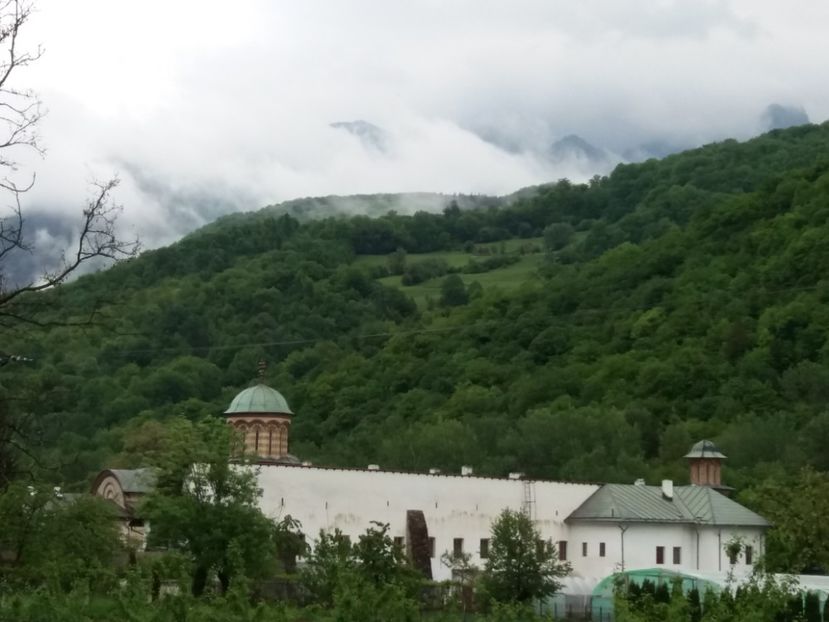  - Mânăstirea Cozia 2017