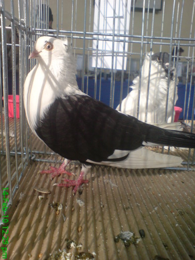 10898254_IZXIHEQNQ