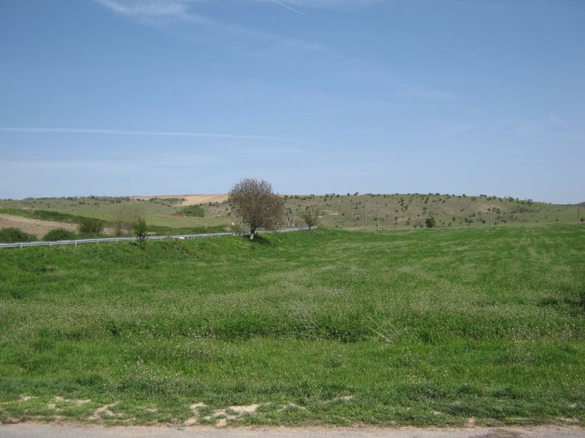  - Dobrogea de Jos