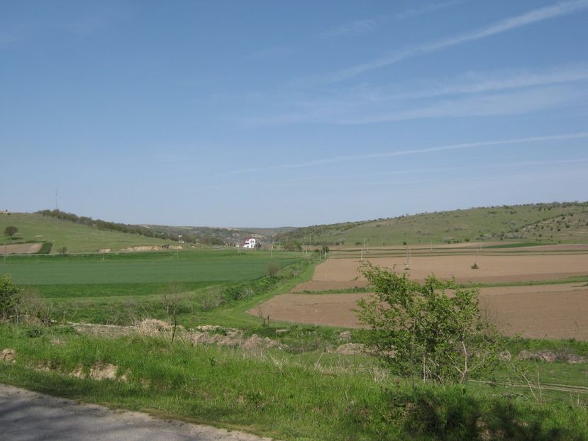 - Dobrogea de Jos