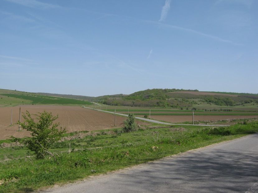 - Dobrogea de Jos