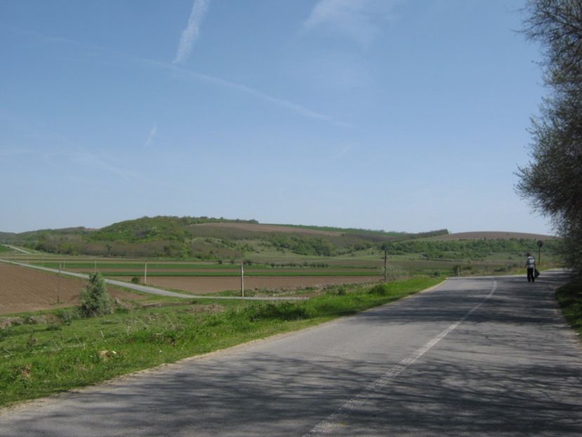  - Dobrogea de Jos