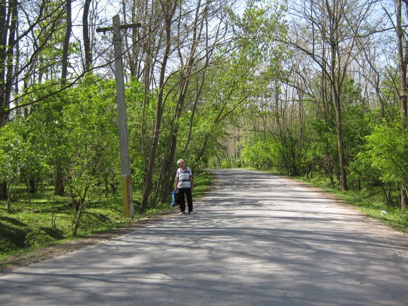  - Dobrogea de Jos