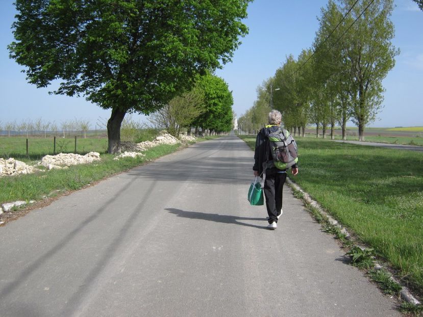 spre Adamclisi - Dobrogea de Jos