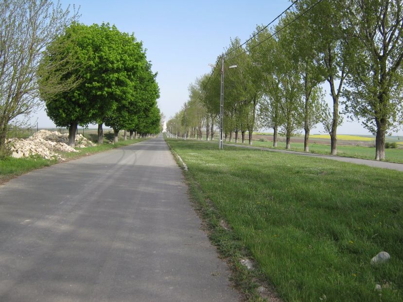  - Dobrogea de Jos