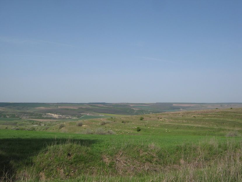  - Dobrogea de Jos