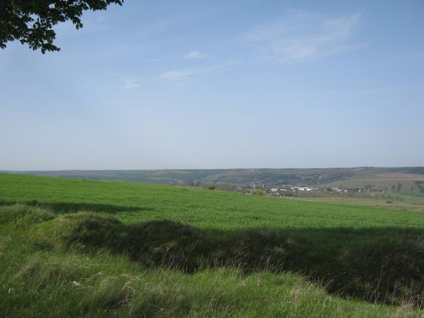  - Dobrogea de Jos