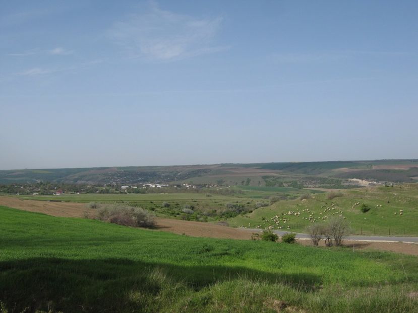  - Dobrogea de Jos