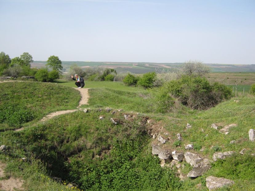  - Dobrogea de Jos